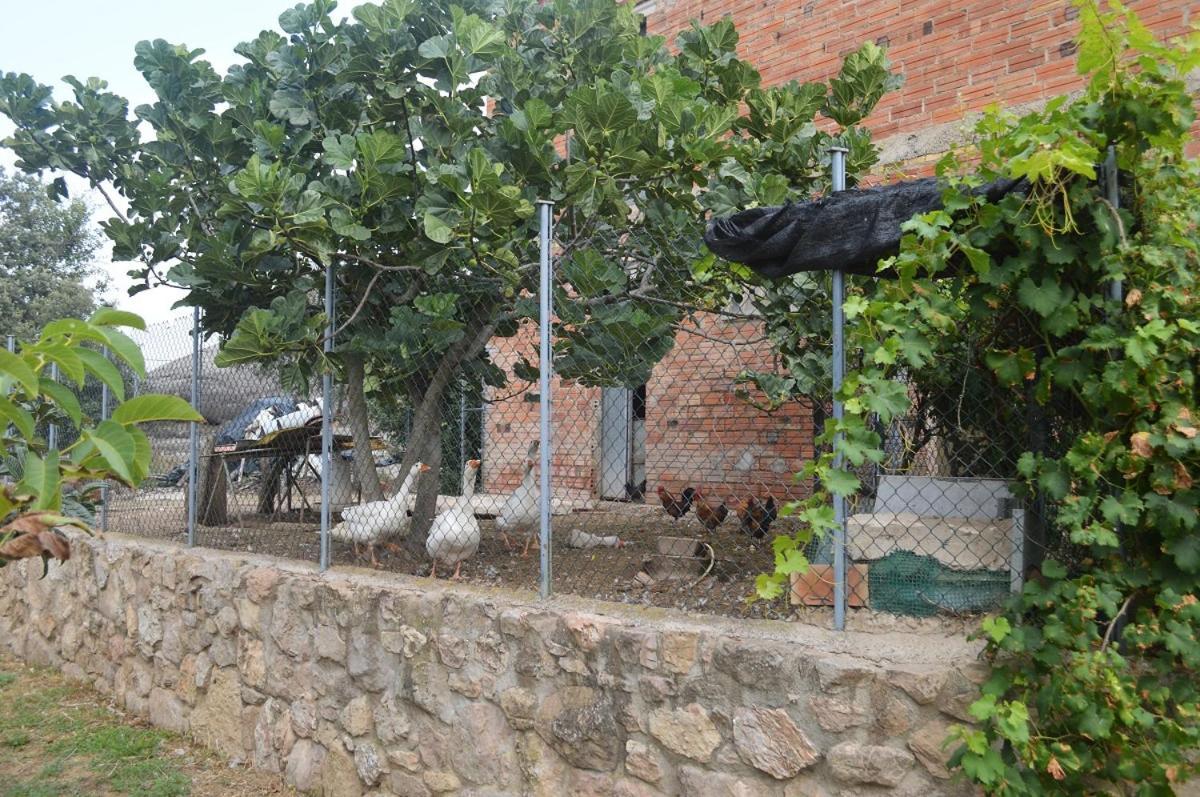Masoveria La Roca Sagas Bagian luar foto