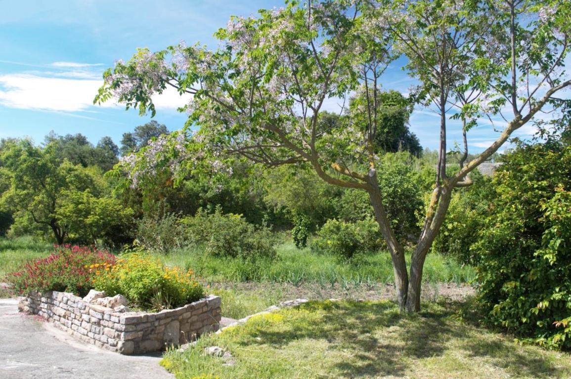 Masoveria La Roca Sagas Bagian luar foto