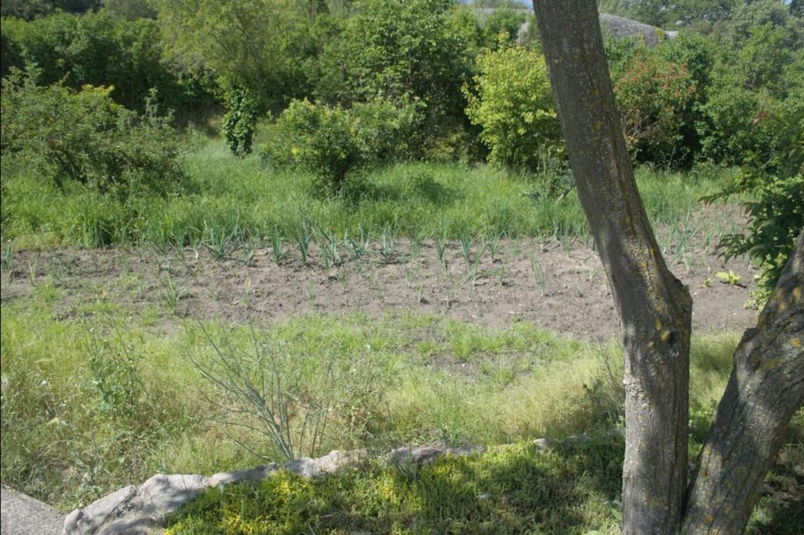 Masoveria La Roca Sagas Bagian luar foto
